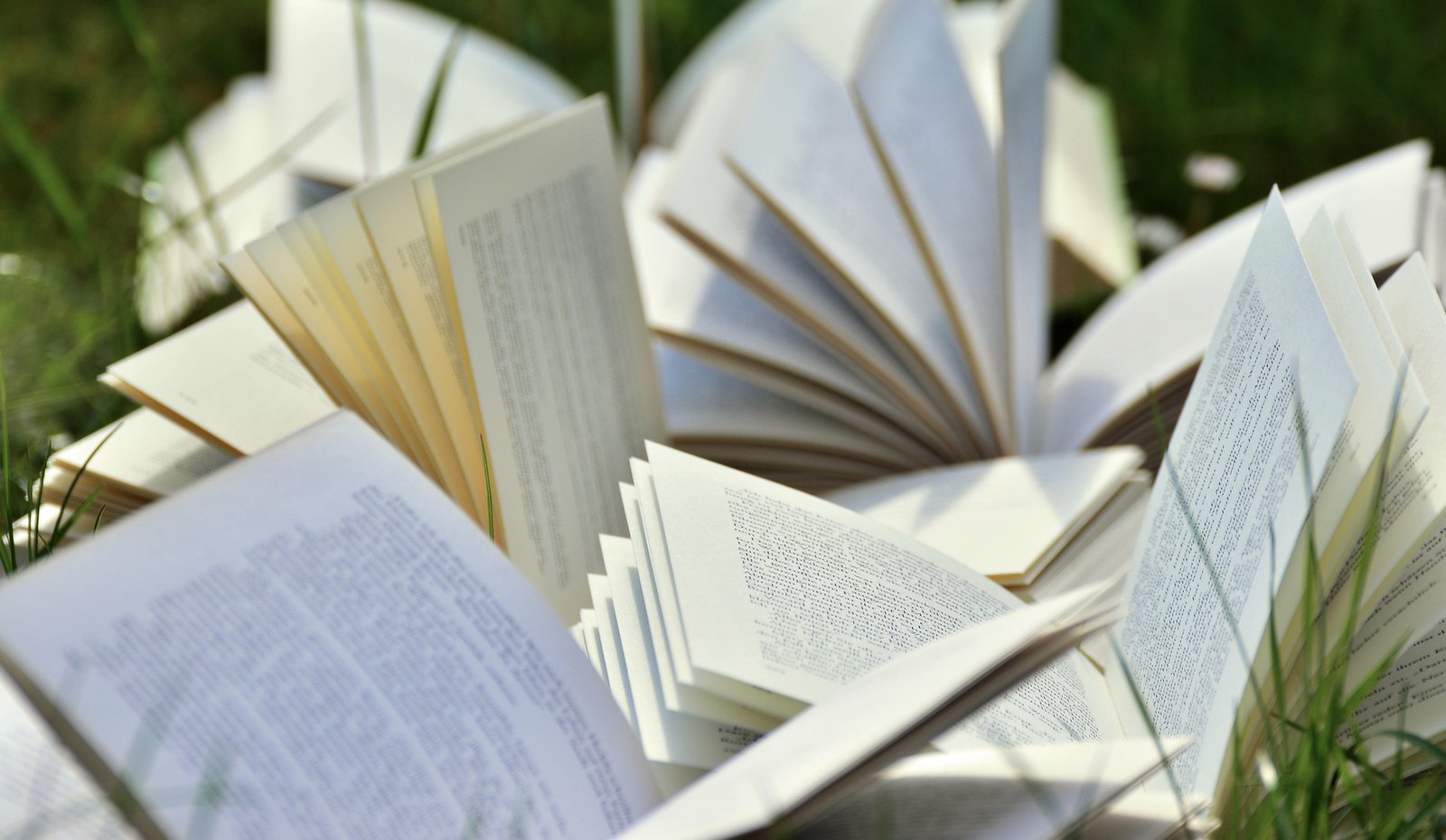 Top 5 Benefits of Distance Education for Working Professionals