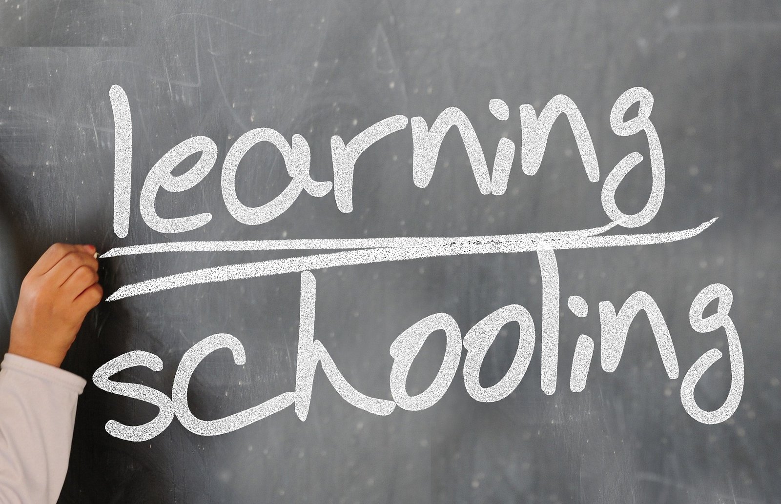 D.El.Ed: Your Gateway to a Primary School Teaching Career